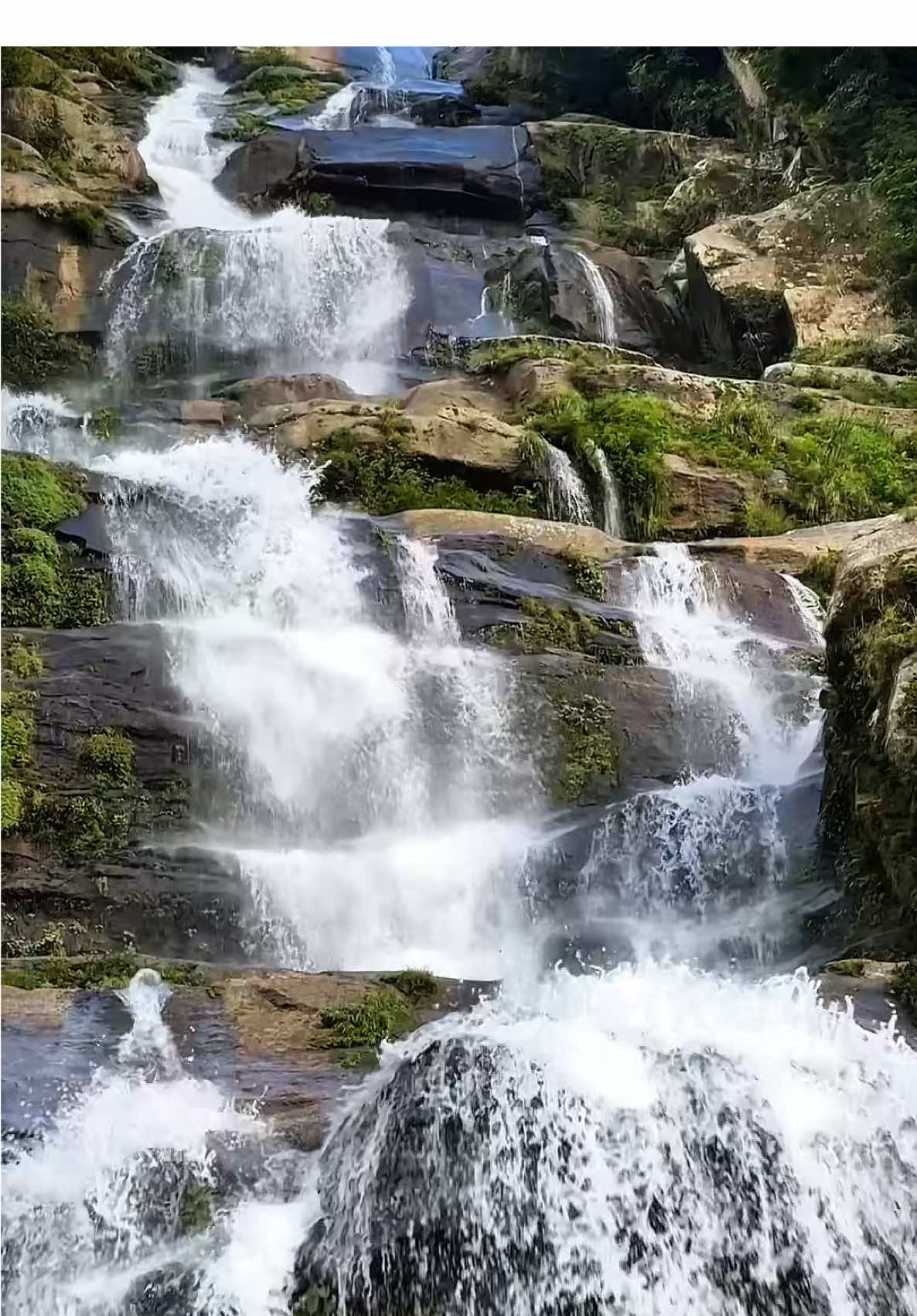 When nature and the song create the same vibe. ❤️ • 📍:-Chahare Jharana, Sankhuwasabha • #khandbari #sankhuwasabha #makalu #chaharejharana  #fyp