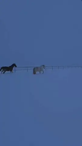 Life Changing Bayan by molana ibadallah 🥺  #molanaibadullahsahab #TariqJameel #DrIsrarAhmed #viralvideo #IslamicMessage 