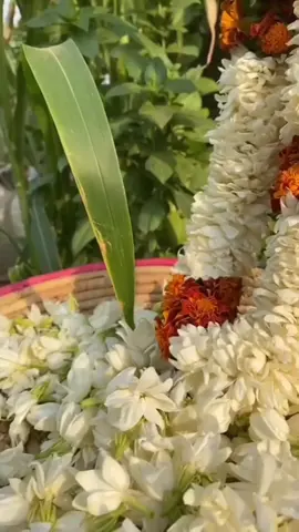 ‏ᥫ᭡𓈒𓏲🕊️ ‏