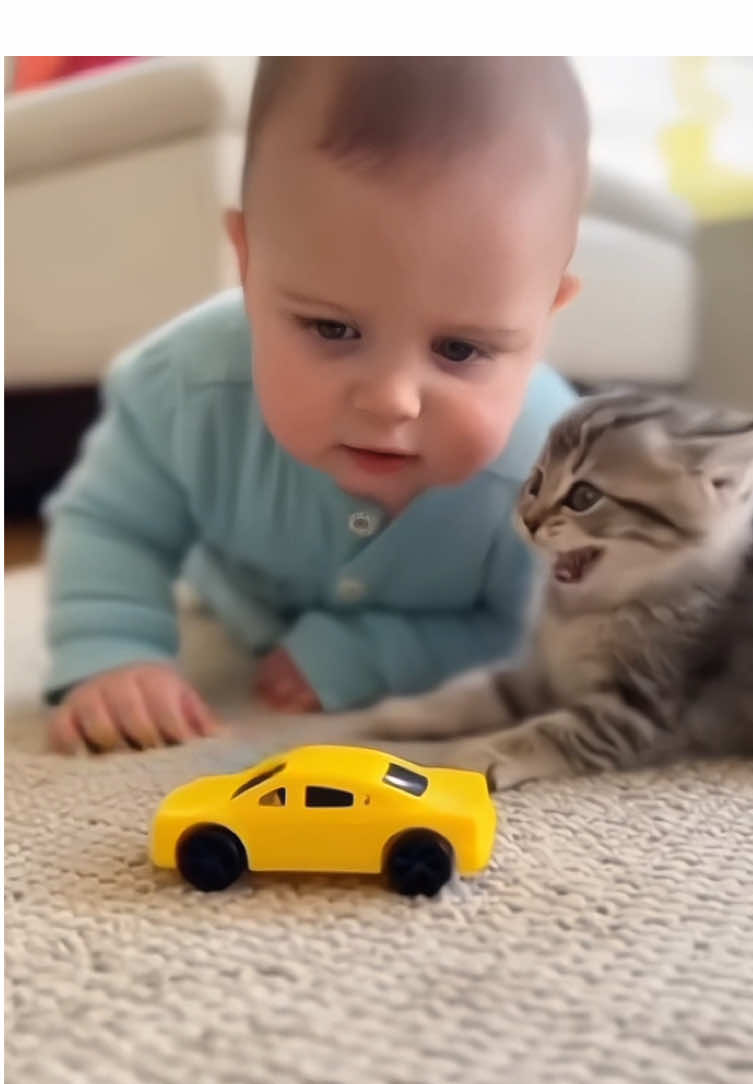 Part 3:: Baby and kitty are playing toys #catsoftiktok #catlover #PetLoyalty #FunnyAnimals #cat 