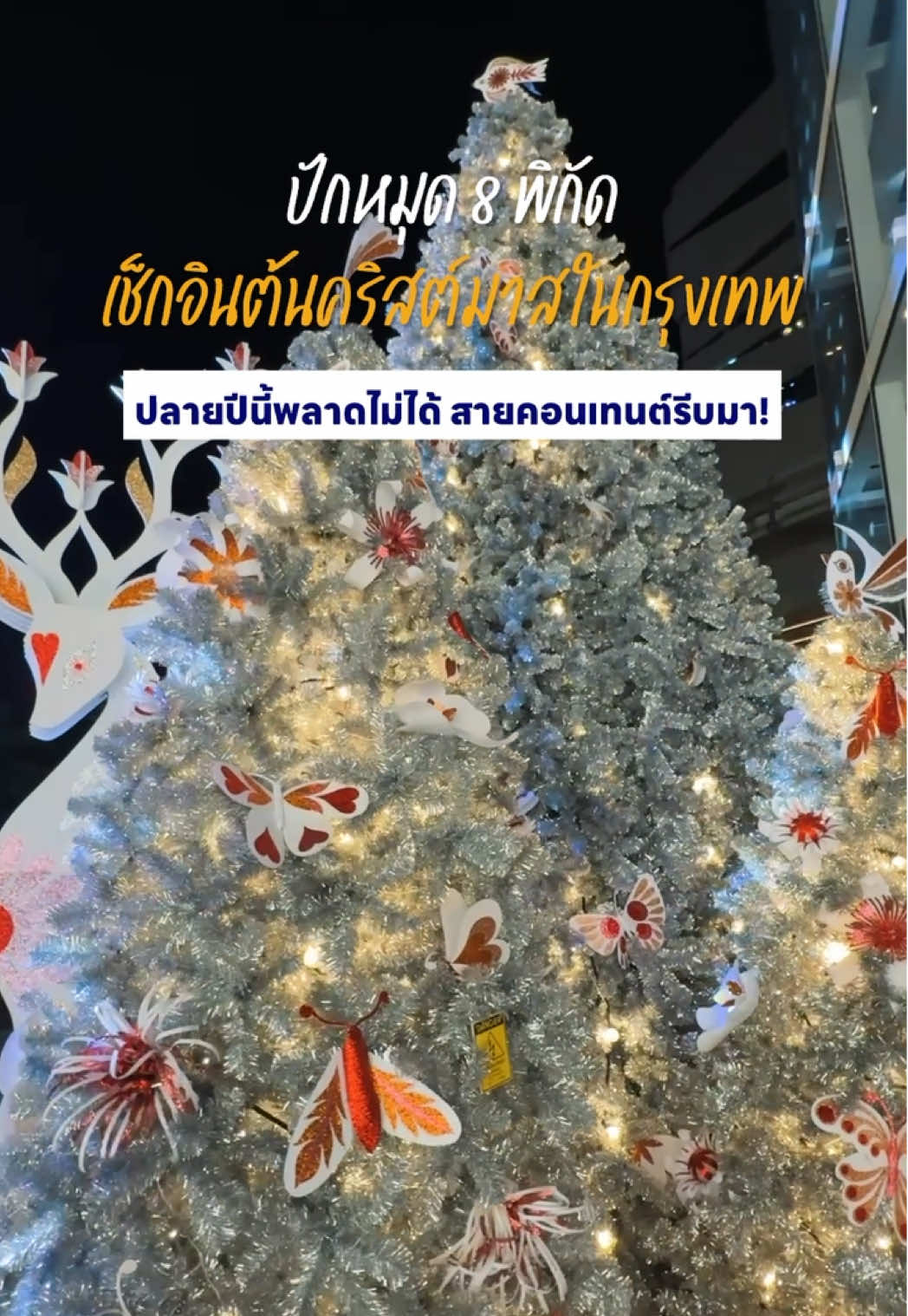📍ปักหมุด 8 พิกัด เช็กอินต้นคริสต์มาสในกรุงเทพ ปลายปีนี้พลาดไม่ได้ สายคอนเทนต์รีบมาเลยย!! 🎄✨ . #tiktokพาเที่ยว #คริสต์มาส #christmas #แจกพิกัด #ถ่ายรูป 