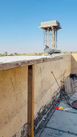 #الشعب_الصيني_ماله_حل😂😂 #ونسه_وتغير_جوو😁😂 