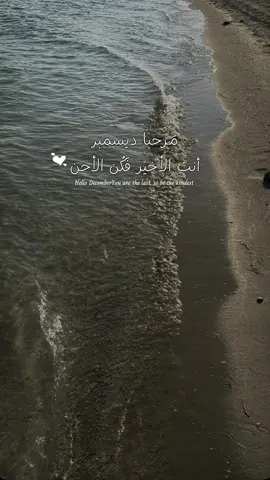 #CapCut #ديسمبر_ياآخر_ملامح_هذا_العام #ديسمبر#اكسبلورexplore #احبكم_يا_احلى_متابعين 