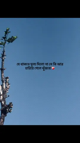 😅💔 #foryou #banglacaption #sadcaption #emotionalvideo #fyp 