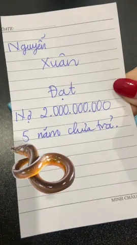 #tâmlinh #meodangian #thuhoino 