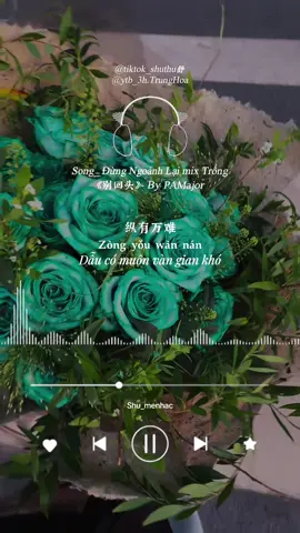 ❣️[S51] Đừng Ngoảnh Lại mix Trống 《别回头x 鼓混音》- By PAMajor 😎 #别回头 #dungngoanhlai #vietsub #nhactrungquoc #viral 