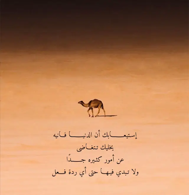 #fyp #explore #4u #foryoupage 