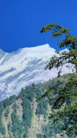 📍Mustang #fyp  #foryoupage  #❤️  #mustang  #tourism  @user09913186257 @Shekhar Ilameli 1 @Prakash Shrestha @Narendra Gadtoula @Youtube:Bus Ace Nepal @𝓓𝓪𝓿𝓲𝓭 𝓥𝓵𝓸𝓰𝓼 @Mechi Airbus Official🙏 @Deluxebus_of_purba @The Hiacenoids❤️ @🪱🌴TMG💓🎵ㅤʙᴜᴅᴅʜᴀ⁷ꔪ @Padam Bhattarai @Shiva Raut123 @prabin stha @UNBG Official @À Ą Ģ Ã M Á Ñ @Official Bus Video 🇳🇵 @keshab.keyona.kayona.esu 