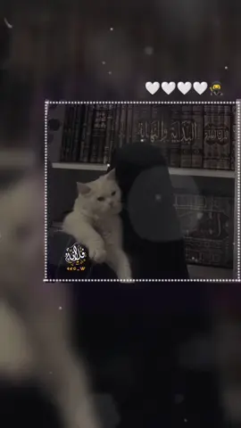 #تصميمي🎬 #اناشيد_اسلاميه #بدون_موسيقى #كوني غريبة فطوبى الغرباء ) اجعلي من يراك يتمنى ان يكون مثلك ومن يعرفك يدعو لك بالخير /ومن يسمع عنك يتمنئ مقابلتك فمن /تعطر باخلاقها لن يجف عطرها /احتى لو كانت تحت التراب