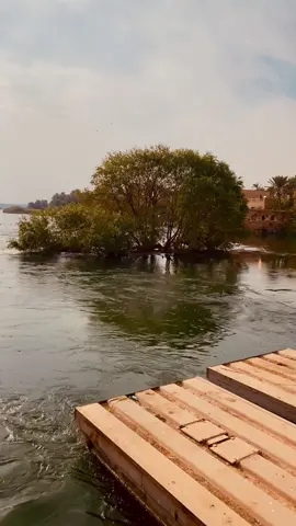 #ابوياسر_المصور #تصويري_احترافي_الاجواء👌🏻🕊😴 #تصويري_احترافي_الاجواء👌🏻🕊😴 #حديثه_عذراء_الانبار #مالي_خلق_احط_هاشتاقات 