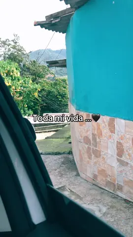 #pereira #risaralda #patriahonorlealtad🇨🇴🇨🇴 #fyyyyyyyyyyyyyyyy #artilleriacolombiana🇨🇴 