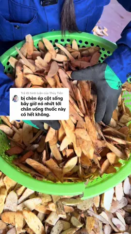 Trả lời @Thủy Tiên  dạ dùng sớm cải thiện sớm nha chị#baithuocdangian #thaoduocdantoc #baithuocgiatruyen #lieulaocai #duoclieutaybac #thiennienkien #cuthiennienkienkho #thoatvidiadem #daunhucxuongkhop #dauthankinhtoa #thaoduocthiennhien #gaidoicotsong #thaoduocxuongkhop #Sieusaleblackfriday 