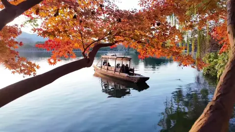 Anh cố đi tìm nắng nhưng đôi chân tê lạnh câm vì mưa vương trên lối về. Anh vẫn đang tự hỏi, liệu những bước chân lạc ấy có vô tình chạm vào sợi dây vô hình kia? 📍Nơi trái tim thấy bình yên. #xoaiuc #tinhyeu #khoanhkhackhiyeu #canhdeptrunghoa #trunghoa 