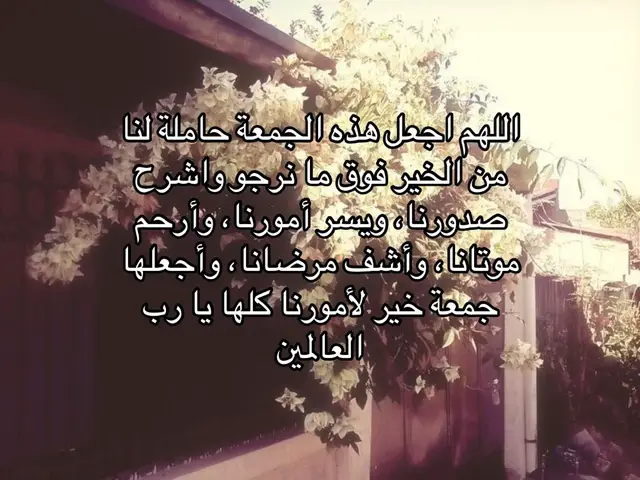 #يوم_الجمعه #اجر_لي_ولكم_ولوالدينا_وللمسلمين #قران #سبحان_الله_وبحمده_سبحان_الله_العظيم #لا_اله_الا_الله 