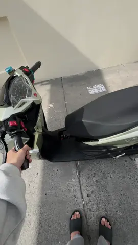 đang chill chill nhiên bồ câu chạy qua, làm hết hồn hà🥲 #xh #xhtiktok 