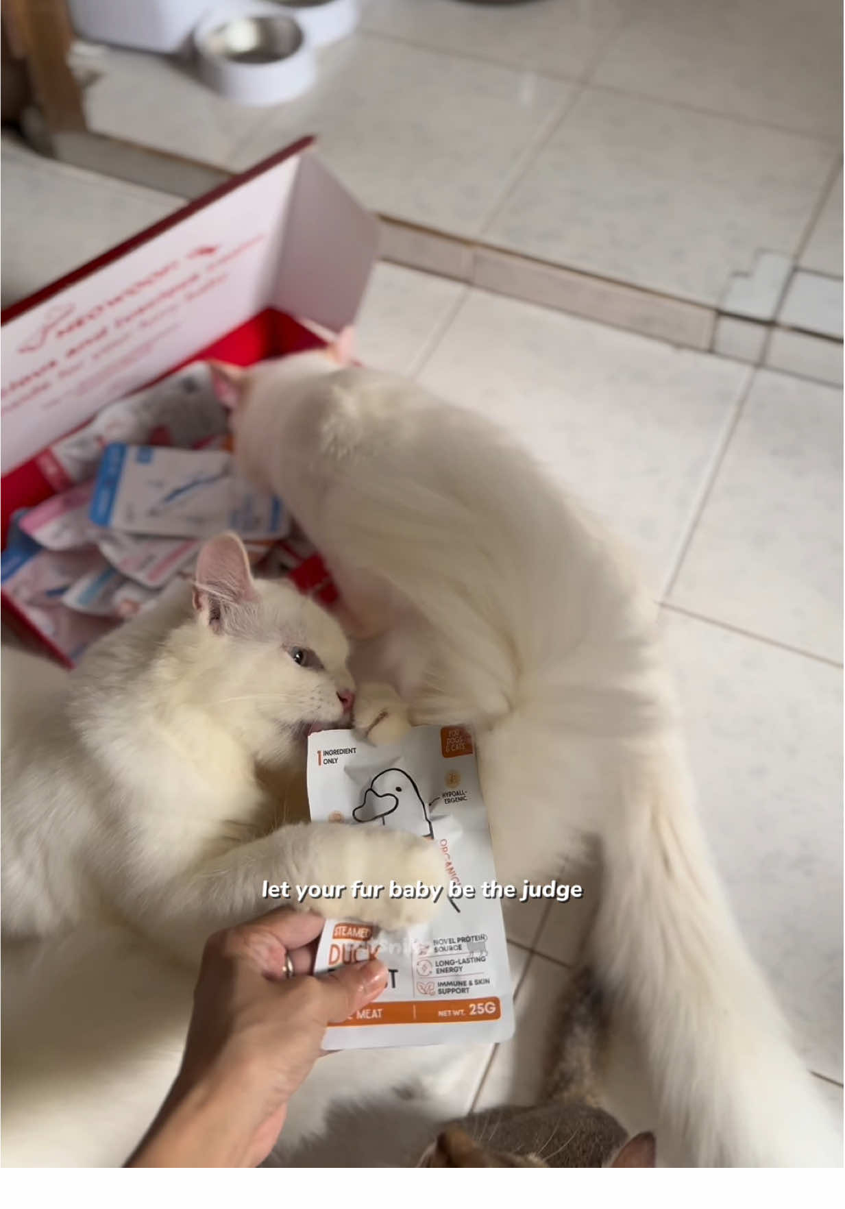 RESTOCK ALERT! Stock your pawntry up before it runs out again! 😍 