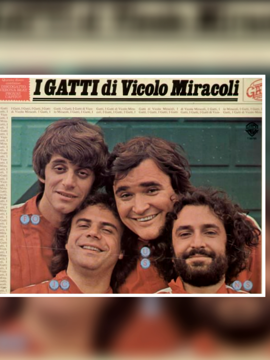 I GATTI DI VICOLO MIRACOLI 