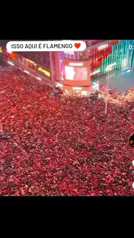 chega da até arrepio, aqui é Flamengo 