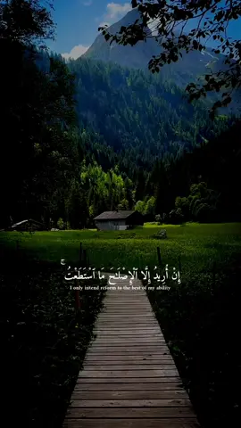 وما توفيقي الا بالله عليه توكلت واليه انيب 😔🤍 • مشاري العفاسي •تلاوة خاشعة #ارح_سمعك_بالقران #راحة_نفسية #قران #quran #مشاري_العفاسي 