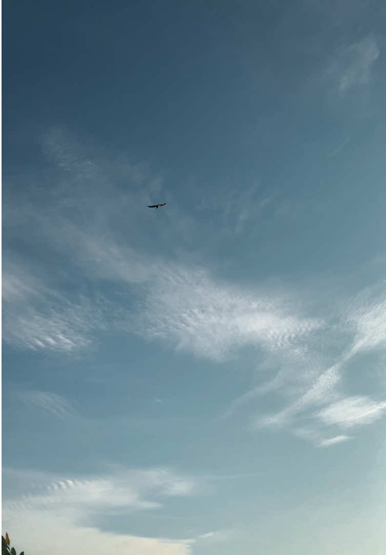 Melodi yang indah, tapi tidak dengan kisahnya🥀 . #sizetheday #avengedsevendfold 