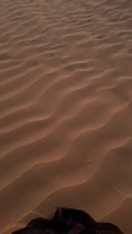 ماورا خصرك شبكته #اكسبلور #fy 