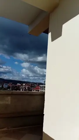 #algerie🇩🇿 #الجزائر🇩🇿 #سلطان_أناقة #ادخل_علينا #بوقوس_نتاعي 