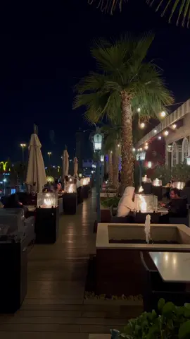 #من_يلوم_المغرم #ابو_نورة #viral #شتاء_الرياض #explore 