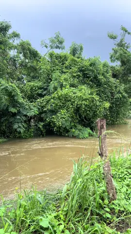 #anuradhapura_sri_lanka🇱🇰 #newtrending #creatorsearchinsights #කාලෙකට_පස්සෙ 