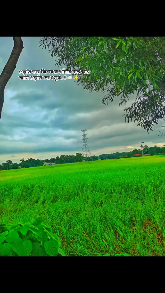 #foryou #sehjada481 #foryou #sehjada481 