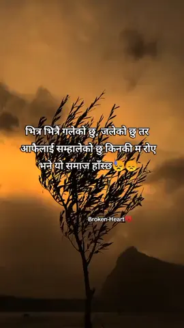 #reels #fyoupage #support #foryou #tiktok @Coolboyyy69 @मनको डायरी @Shisir Kandel @Ansubarma500 @ansubarma_offical @Bhagya Neupane @Mandira Dhungana @Mandira Dhungana @Routine of Nepal banda 🇳🇵 @Apil Tripathi @Mrb vlog official 