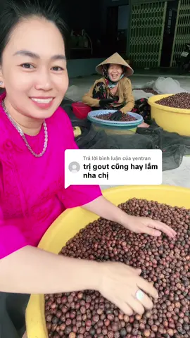 Trả lời @yentran trái đủng đỉnh ngâm #baithuocdangian #gout #daunhucxuongkhop #xuhuong  