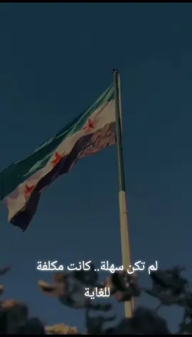 #سوريا🇸🇾 #ثورة #لقد_كان_المهر_غالي_جدآ#🇸🇾 