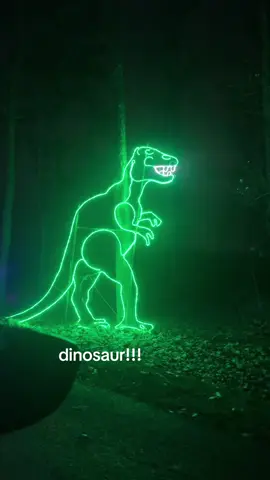 dinosaur!! 🦕🦖 #fyp #dinosaur #rawr #blowthisup #christmaslights 