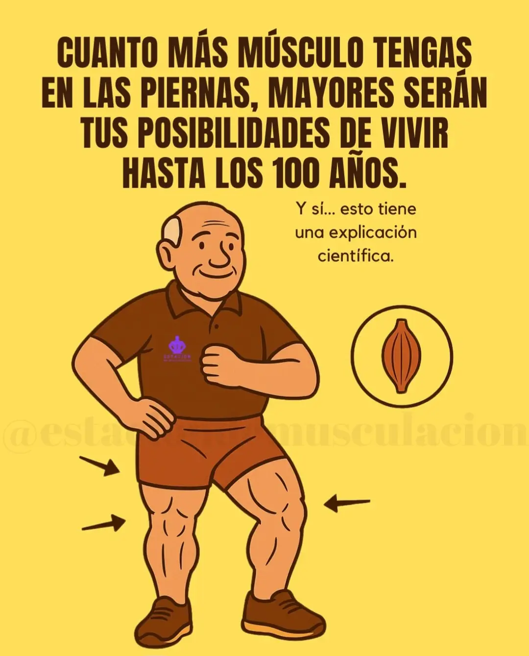 Cuando pierdes fuerza en las piernas, enveieces más rápido A partir de los 30 empezamos a perder masa muscular si no entrenamos. Cada década sin trabaio de fuerza = pérdida acelerada de movilidad, estabilidad y calidac de vida. Moverte más = vivir más. Las personas con más fuerza en las piernas se mueven más, caen menos y conservan un cuerpo más 