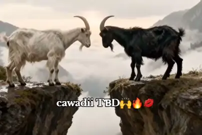 #taşacakbudeniz #turkishseries #foryoupage 