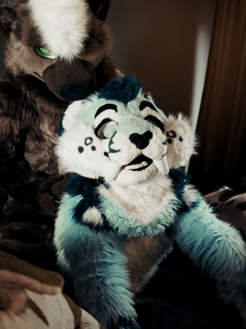 Just a yeen and his favourite kitten 🐈: Roland 📸: @Kyanite Photography #fursuit #fursuitfriday #fursuiters #hyena #yeen 