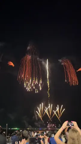 ชอบพลุชุดนี้มากๆ งานพลุพัทยา 28-29 พฤศจิกายน 2568 #พัทยา #fypシ゚  #งานพลุพัทยา🎆 