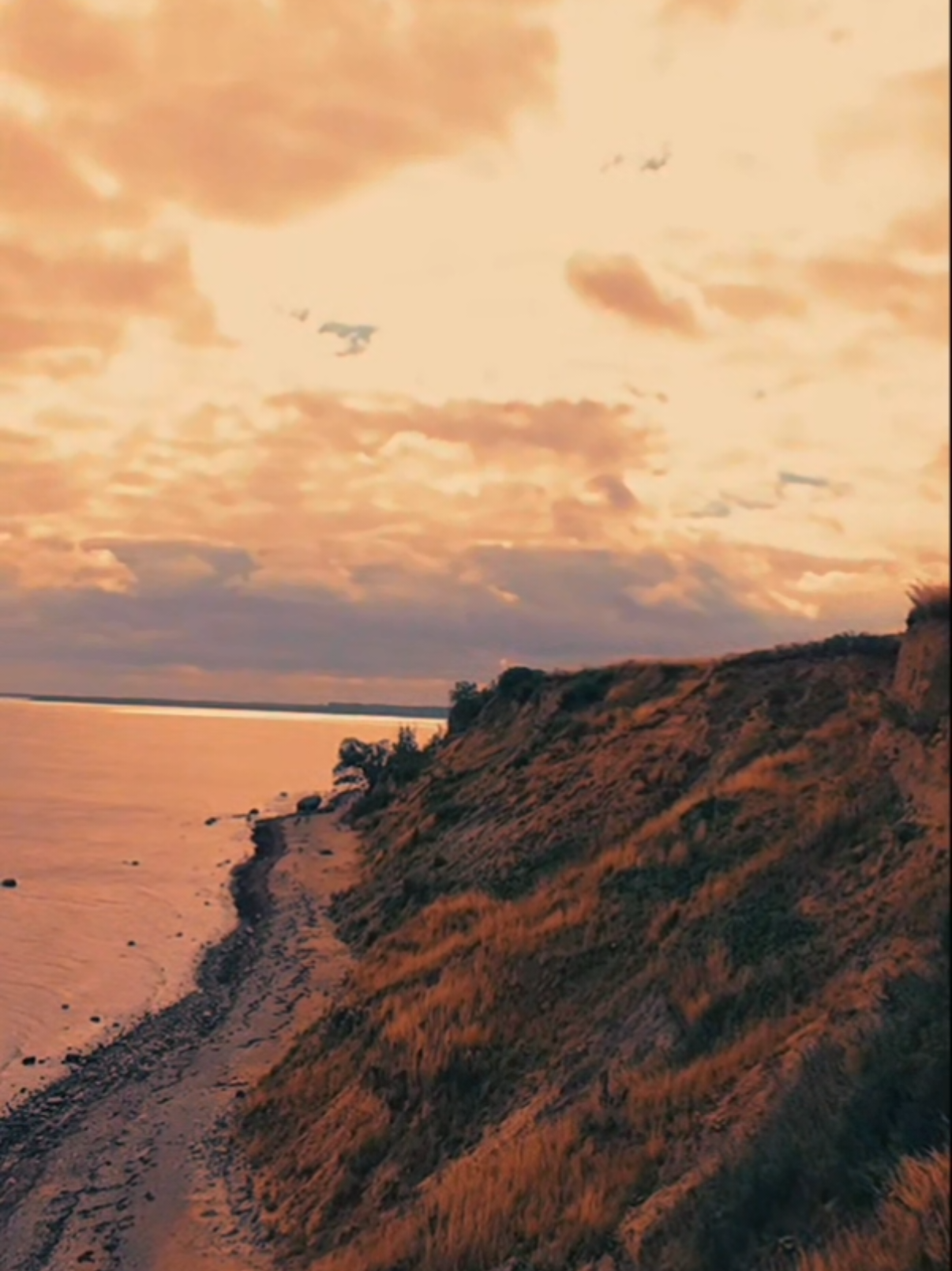 🌊#zitate  #sprüche #foryoupage #fyp #viral 