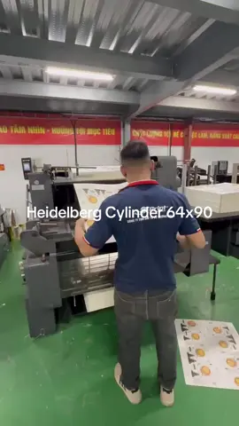 Heidelberg Cylinder 64x90 hai chức năng - Ép nhũ tự đông + cán vân/chiếc quang giấy