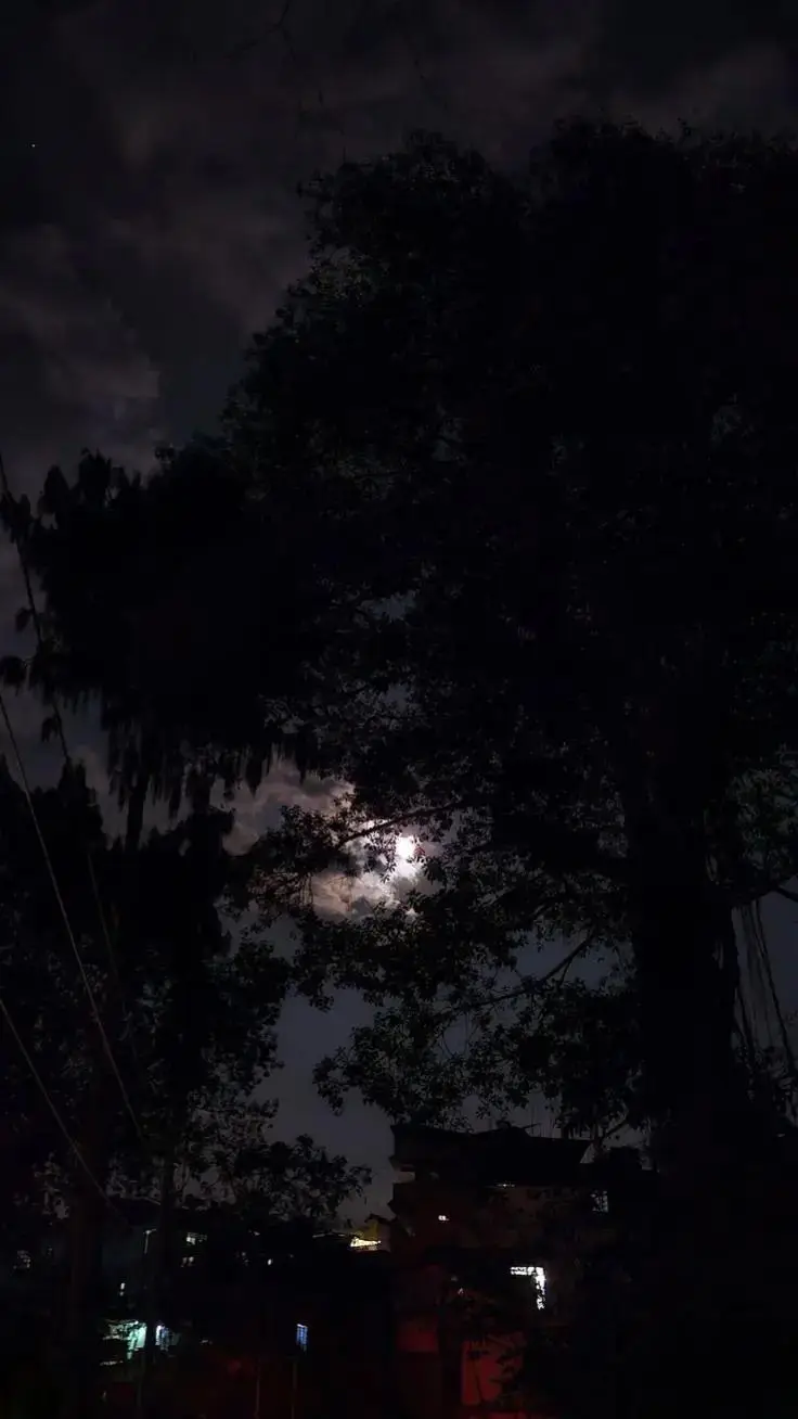 #حزيــــــــــــــــن💔🖤 #اكسبلورexplore❥🕊  #fypシ゚viral🖤tiktok #مجرد________ذووووووق🎶🎵💞 