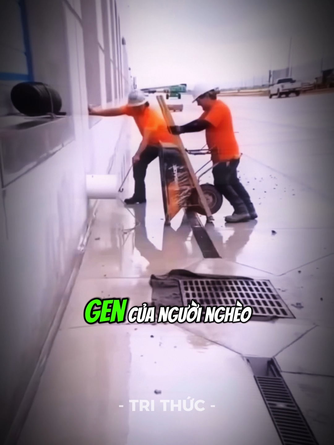 Gen của người nghèo là thích giúp đỡ người khác #phattrienbanthan #trithuc #tuduy