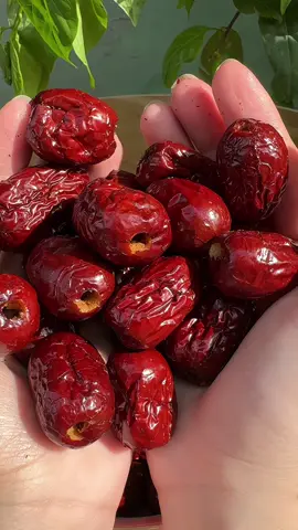 Gièn ăn táo sấy thì đừng bỏ qu e táo sấy giòn này nha #taosaygion #taosaygion #taosay 