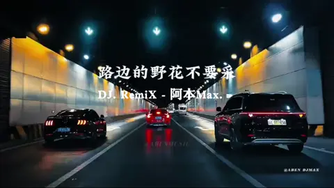《 路边的野花不要亲 》 ～ 🎧 佩戴耳机效果更佳  ABEN.DJ RemiX-阿本Max #fyp #Dj阿本#Dj#卡点#节奏感