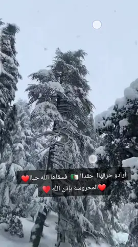 ‏@👑سلطانة سلمى 👑:اللهم احفظ بلادي والحمد لله اللهم اجعله غيثا نافعا يا رب كما يقولوا ناس بكري ربي يخلف على الشجره ماشي على قطعها ان شاء الله ديما بلادنا زاهيه وفرحانه ومن خير الى خير باذن الله الرحمن الرحيم وعين الله تحرسنا بلادنا وشعبها ان شاء الله يا ربي#تصميم_فيديوهات🎶🎤🎬تصميمي🔥 #ابوني_ياك_باطل_ولا_حنا_مانستاهلوش #تحيا_الجزائر #ثلج  الجزائر  #مشاءالله_تبارك_الله 