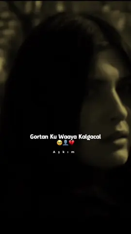 Nafta Waxan Ku Sabaa Adi Xasustaade😫#muqaaljaceyl #azkim #waliid_xasan#fyp 