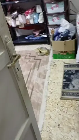 للطلب 01033569198 وتس شنطه تكمل شياكتك #شنط #حريمي #هاند_ميد #شنط_خرز 