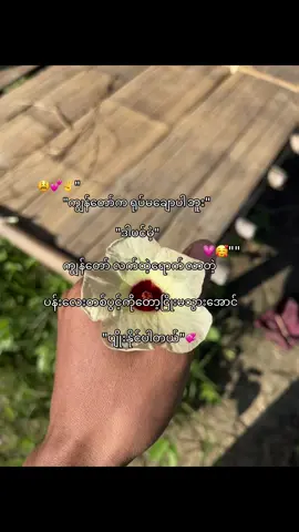#ပန်းလေးတစ်ပွင့်ကိုတော့ ငြိုးမသွားအောင် ကျွန်တော်ပျိုးနိုင်ပါတယ်✌️💞##fyp #