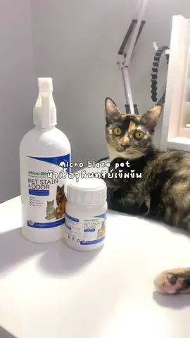 🐾หัวเชื้อจุลินทรีย์เข้ามข้นขจัดกลิ่นอึ/ฉี่สัตว์เลี้ยง ________________________________ #จุลินทรีย์กําจัดกลิ่น #หัวเชื้อจุลินทรีย์ขจัดกลิ่น #microblazepet #ขจัดกลิ่นเหม็น #สัตว์เลี้ยง 