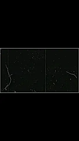 @🇧🇩 SB SOJIB 🇰🇼 এর সাথে #ডুয়েট #আপনার_প্রিয়_মানুষটিকে_মেনশন_করুন 