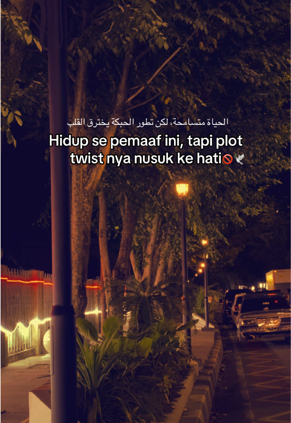 Hidup se pemaaf ini, tapi plot twist nya nusuk ke hati🚫🕊️#fypage #indiasong #bollywood #syaircinta #goresandarah 